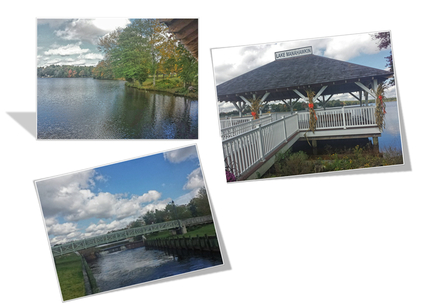 Short Sales, Foreclosures and Bank Properties in the Southern Ocean County Real Estate Market